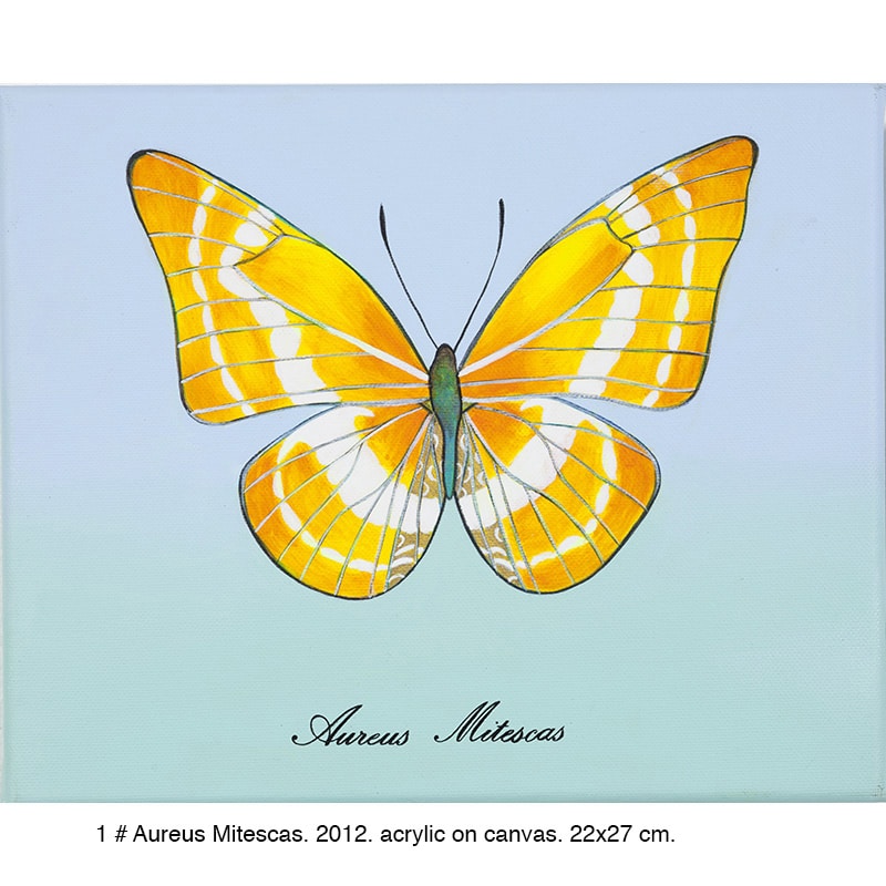 1-Aureus-Mitescas-2012-22x27cm2