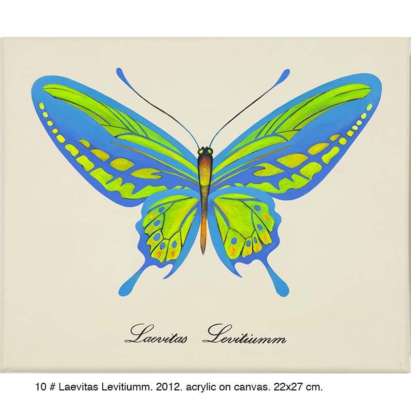 10-Laevitas-Levitiumm-2012-22x27cm2
