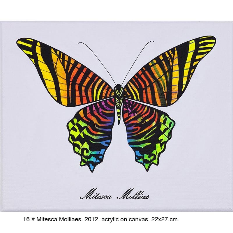 16-Mitesca-Molliaes-2012-22x27cm2