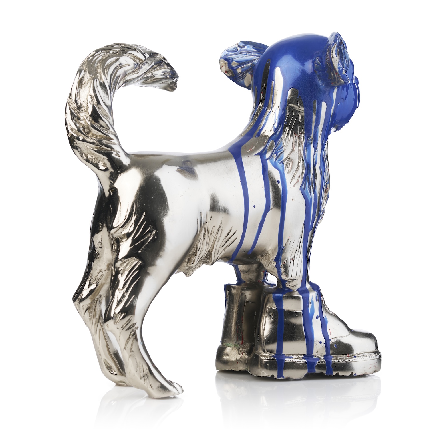 Cloned Chihuahua with colored head blue - Image 3