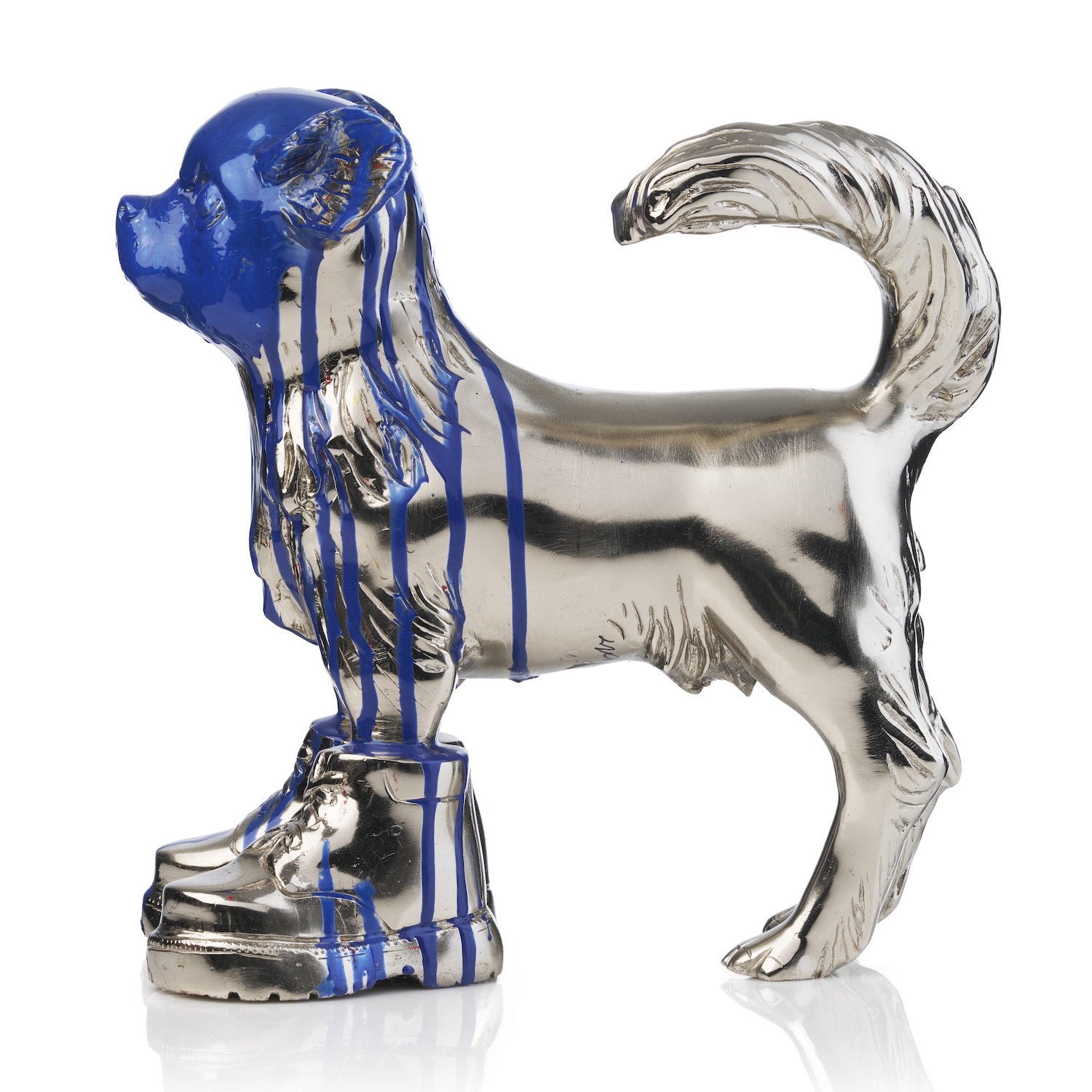 Cloned Chihuahua with colored head blue - Image 4