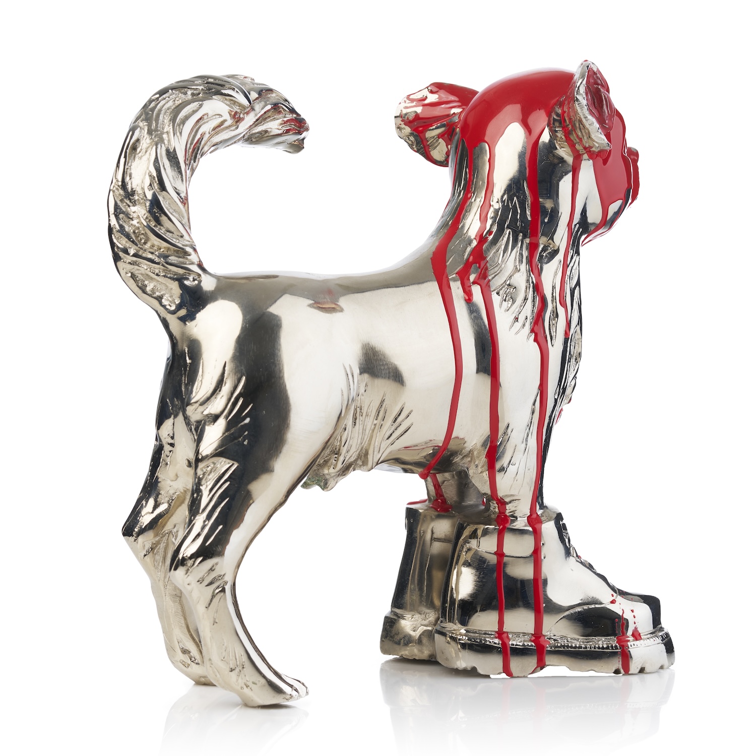 Cloned Chihuahua with colored head red - Image 3