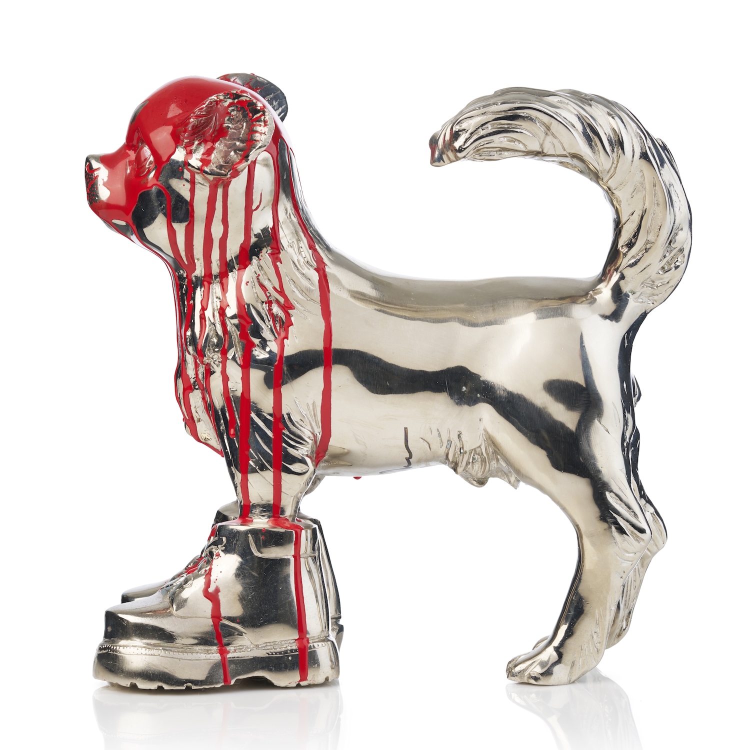 Cloned Chihuahua with colored head red - Image 4