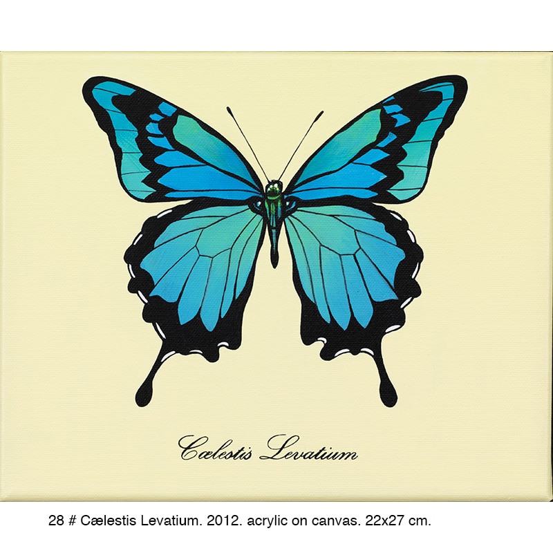 28-Caelestis_Levatium_2012_22x27cm2