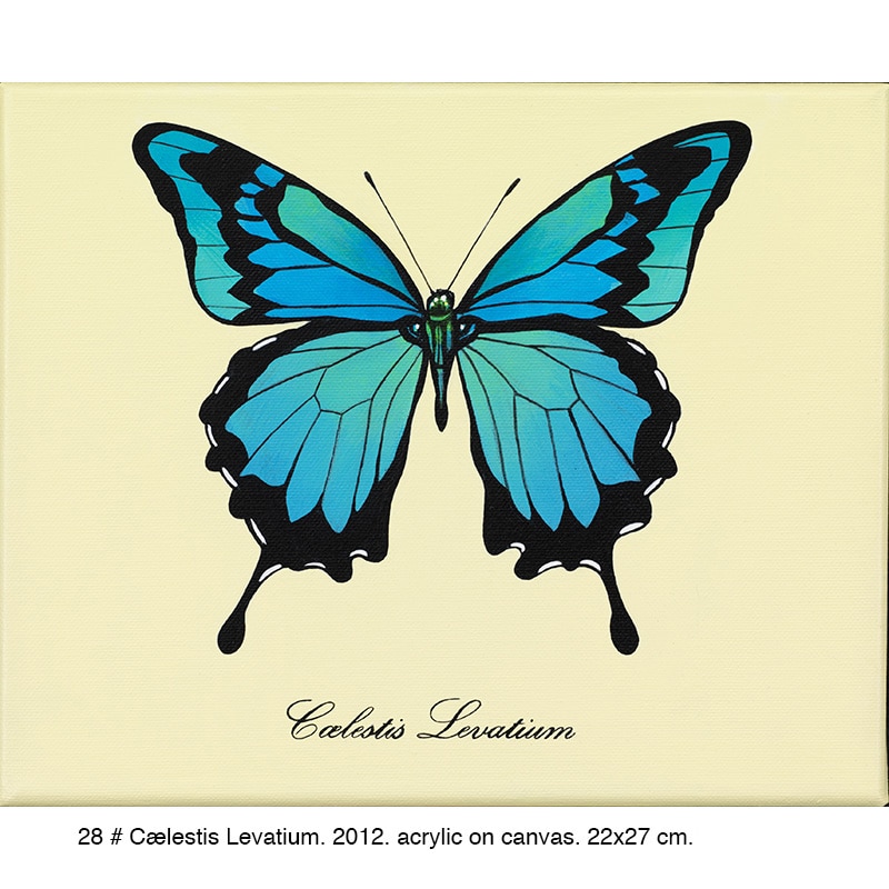 28-Caelestis_Levatium_2012_22x27cm2