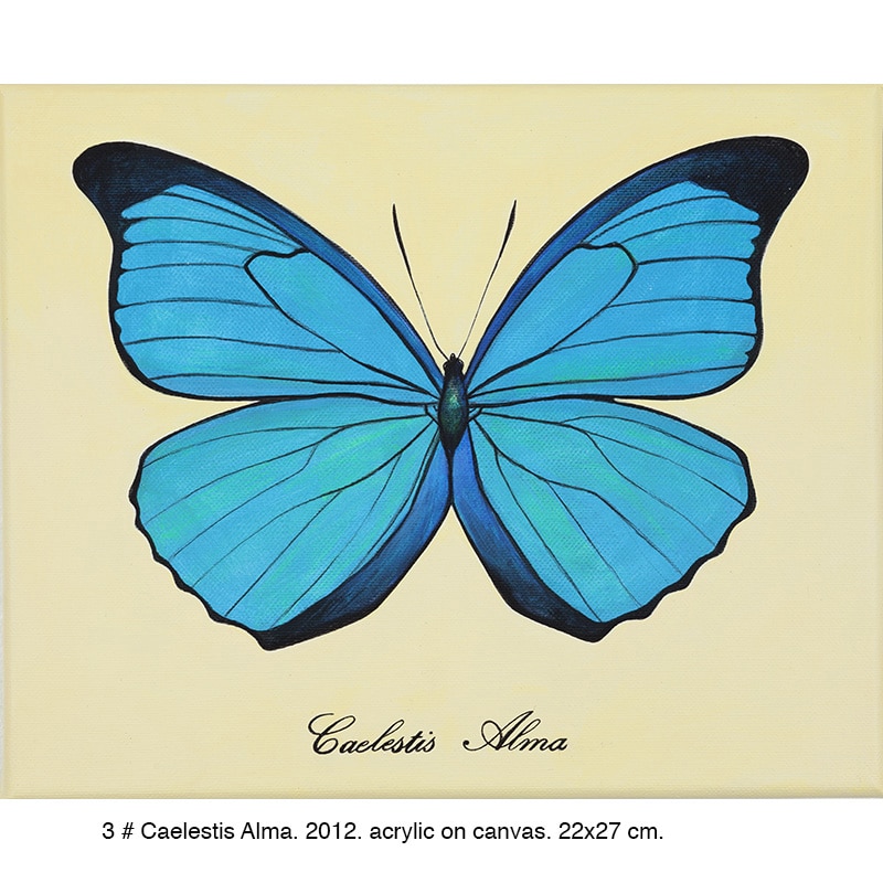 3-Caelestis-Alma-2012-22x27cm2